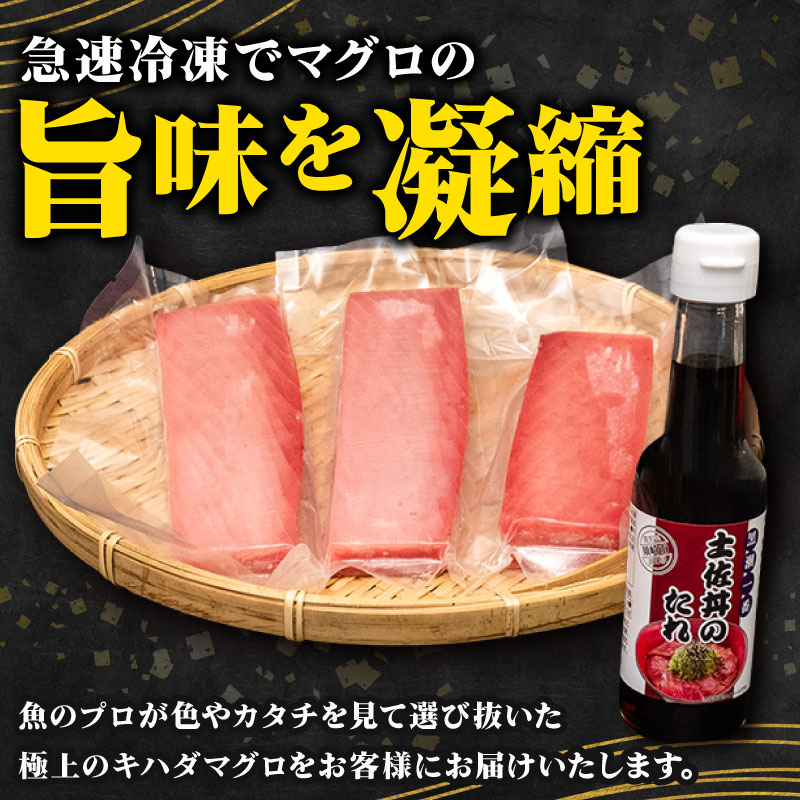 キハダマグロの赤身と丼ぶりのたれセット まぐろの切身とたれのセット 【鮪】