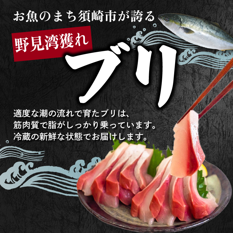 ブリ 刺身 150g以上 鰤 ブロック