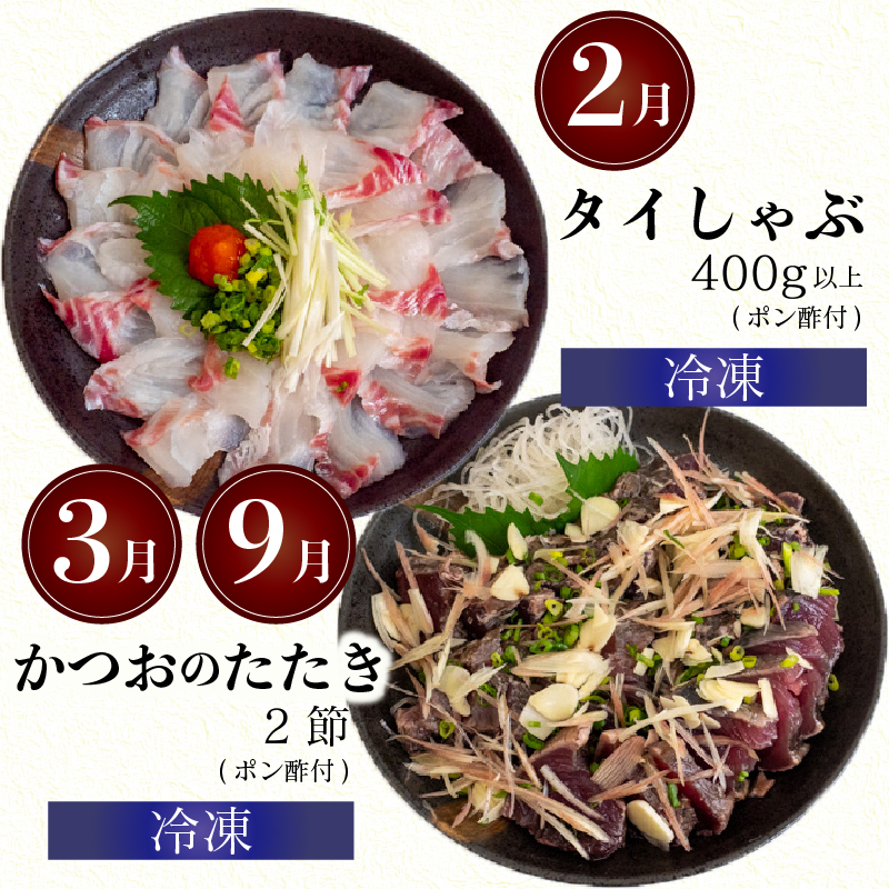 12ヶ月 定期便 旬 魚 刺身定期便 鮮魚