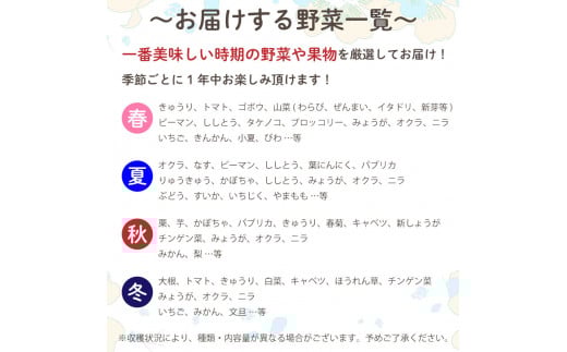 【定期便6回】野菜8種類 セット