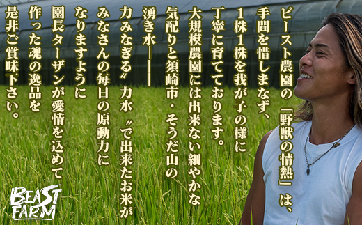 高知県産コシヒカリ　5kg コシヒカリ5kg