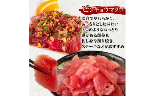 【 訳あり 】 ビンチョウマグロ 切り落とし 1kg（ 100g 10パック ） キハダ マグロ サイズ 不揃い 須崎 高知 ビンチョウマグロ 1kg