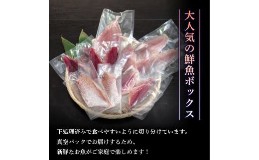天然 鮮魚 詰め合わせ 朝獲れ直送 下処理済み 4~6種入り 2kg～2.5kg （2026年7月出荷） 冷蔵 魚種お任せ 水揚げ 海鮮 魚介 産地直送 新鮮 魚 鮮魚ボックス 2026年7月出荷 2kg~2.5kg（冷蔵）