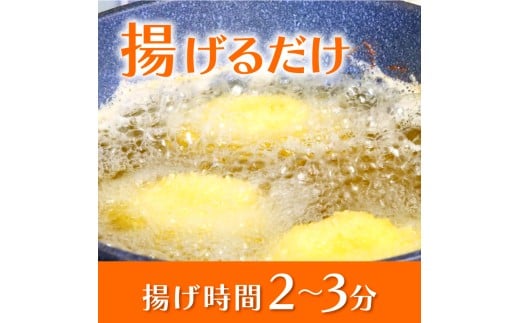 【鮮魚フライ】 おまかせ 鮮魚 フライ 15切れ セット 15切れ
