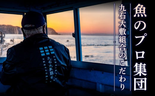 【 船上 神経締め 鮮魚 ボックス 】朝獲れ 直送 大漁コース (2025年5月出荷) 冷蔵 魚種お任せ 水揚げ 海鮮 魚介 産地直送 新鮮 天然 魚 詰め合わせ  2026年5月出荷