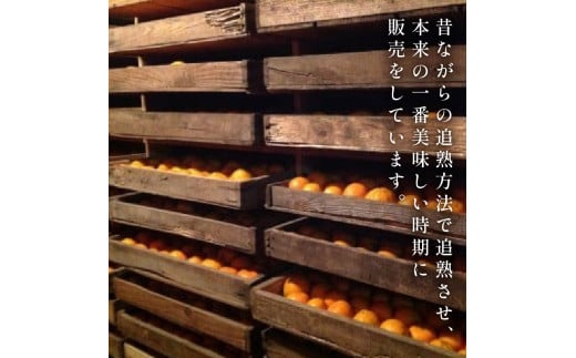 【早期予約 2026年2月上旬より順次発送】 【有機JAS認定】有機ぽんかん L・2Lサイズ混合 5kg 5kg