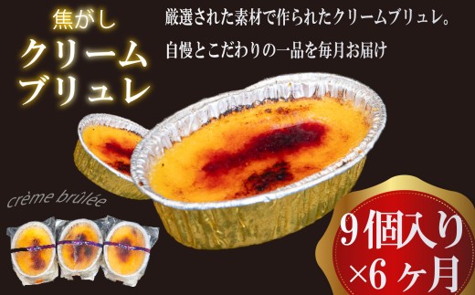 6ヶ月 定期便 濃厚 焦がしクリームブリュレ 9個 冷凍 アイス プリン カタラーナ スイーツ デザート 卵 お菓子 洋菓子 焼き菓子 氷菓子 ギフト おやつ キャラメル ミルク個 牛乳 生クリーム 包装 贈答 飯テロ 夜食 贅沢 ご褒美 贈り物 お取り寄せグルメ アフタヌーンティー 高知県 須崎 【ライフ】 クリームブリュレ定期便9個×6ヶ月