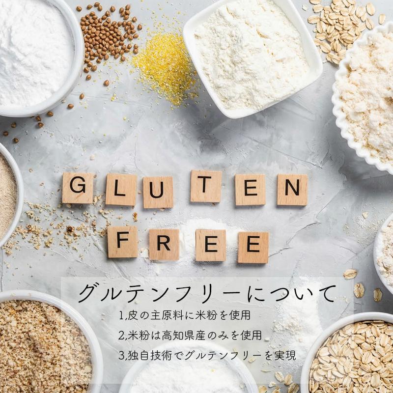 葉 にんにく と 四万十豚 で作った 最高級餃子 （ 6個入り × 2 パック ） 餃子 ギョーザ 焼き餃子 やきぎょうざ ぎょーざ こだわり 大容量 冷凍 冷凍餃子 簡単 調理 簡単調理 惣菜 冷凍食品 おかず 弁当 中華 中華料理 料理 高知県 須崎市 EA0271_3x 12個(6個x2パック)