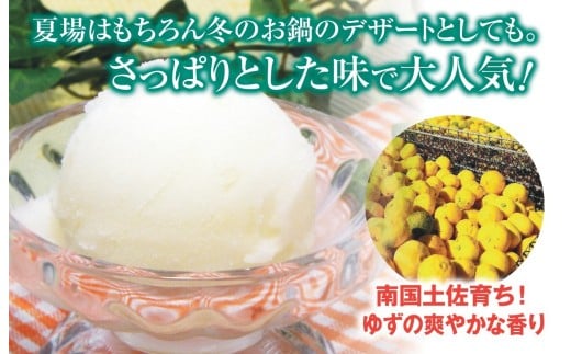 ゆずシャーベット  6個 セット 高知県産 ゆず 爽やか 甘酸っぱい 高知アイス おいしいんだもの ご当地アイス 香り アイスクリーム アイス  スイーツ デザート おやつ 冷蔵 高知県 須崎市 ICE001 6個セット