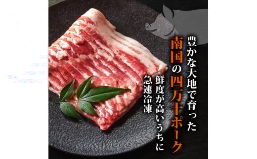四万十ポークスライス3kg | 300g × 10パック セット 豚肉 豚バラ肉 小分け 小間切れ スライス 切り落とし 冷凍 真空パック 簡単調理 細切れ 大容量 肉 高知県 須崎市 TM040 3kg（300g×10パック）