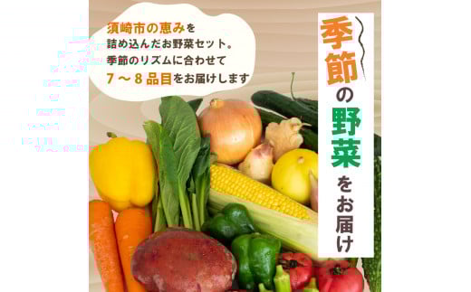 野菜定期便 7品~8品 3ヵ月 【3ヶ月】野菜定期便