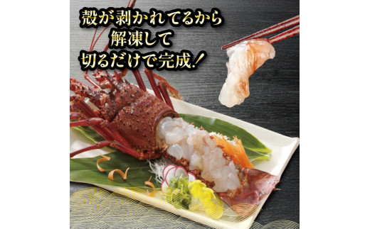 でっかい天然伊勢海老  刺身用 2kg以上 冷凍 2kg以上
