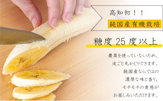 高級 バナナ 500g 以上 国産 有機栽培 高知初 糖度 25度以上 果物 フルーツ 高知県 須崎市
