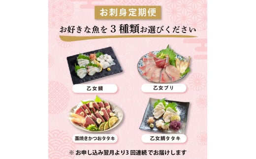 刺身 定期便 3ヶ月 お好きなお魚が選べる！ 小島水産 産地直送 3回 新鮮 かつおタタキ 真鯛 ブリ 刺身 乙女鯛 乙女ブリ 藁焼き かつお タタキ 鯛 タイ たい 鰤 鰹 かつおのたたき タタキ カツオ 海鮮 鮮魚 魚 お刺身 高知県 須崎市 KS29000-x