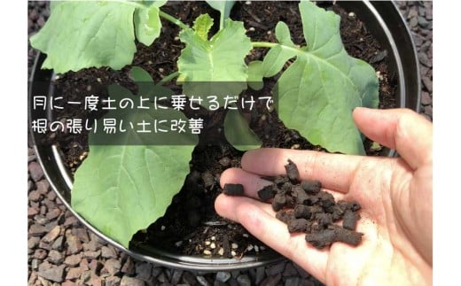 家庭菜園にオススメ！　ベランダー農業女子セット　野菜が元気に育ちます！！UB015