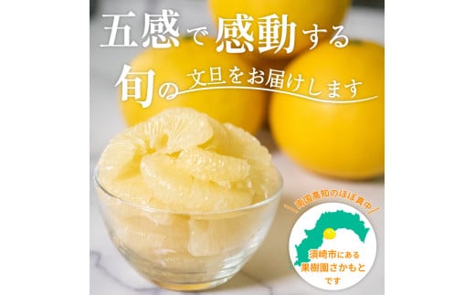 【2025年2月より発送】 高知県産 土佐文旦 訳あり 家庭用 5kg 【フルーツ】 訳あり5kg