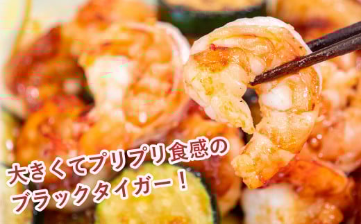  【 6ヶ月 定期便 】 むき えび ブラックタイガー 1.2kg x 6回 背ワタなし 保水剤無添加 冷凍 高級 下処理済 エビ 海老 人気 殻 むき 時短 特大 大型 大容量 無保水 【定期便6回】 1.2kgx6回