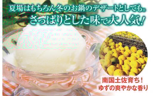 昔ながらの 柚子 アイスクリーム 業務用 2L 高知アイス ゆず アイスクリン ふるさとの味 ご当地アイス あっさり 爽やか アイス 昔ながらの デザート スイーツ 高知県 須崎市 ICE036