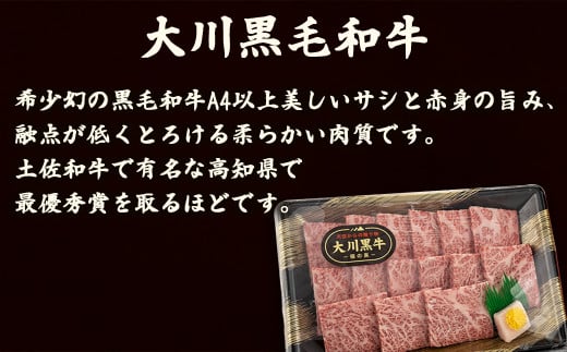 【ふるさと納税】 国産 黒毛和牛 「 大川黒毛和牛 」ロース 地鶏 胸肉 もも肉 の セット 肉 牛肉 国産 黒毛 和牛ロース 300g 鶏肉 もも むね お得 パック 詰め合わせ 土佐はちきん地鶏 希少 ブランド鶏 土佐はちきん地鶏 高知県 須崎市 ふるさと納税牛肉 me060