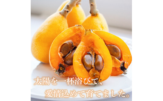 傷がつかないよう丁寧に箱詰め。新鮮な状態でお届けします。