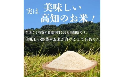 【早期予約】【3回定期便】 数量限定 新米 コシヒカリ 計15kg 令和7年 5kg×3回 白米 精米 米 こしひかり ブランド米 国産 高知県 須崎 しんじょう君 産地直送 NF1000 【定期便3回】5kg×3回