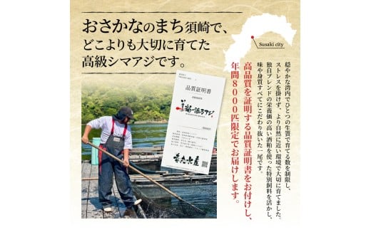 美粕祇万アジ 500g フィーレ 4パック フィーレ カマ アラ付 高級魚 刺身 刺身用 縞鯵 シマアジ 鯵 海鮮 鮮魚 新鮮 魚介 冷凍 魚 さかな 小分け 高知県 須崎市 SCM002 4人前 計500g 腹･背フィーレ 4パック･カマ･アラ出汁パック