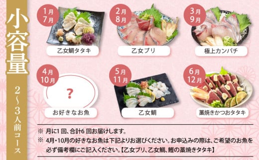 刺身 定期便 6ヶ月 小容量 コース 小島水産 がお届けする！ 美味しい お刺身 ( 鮮魚 下処理済 ) 産地直送 半年 新鮮 6回 （ ブリ かつおタタキ タイ カンパチ 鰤 鰹 真鯛 環八 魚 海鮮 鮮魚 刺身 タタキ ） おさかなのまち すさき 海鮮 鮮度 少人数 人気 高知県 須崎市 KS30000-k 小容量(お好きな魚・かつおタタキ)