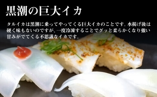 イカ 刺身 200g ~ 280g x 3 パック タルイカ アカイカ もっちり 甘み 小分け パック 便利 刺し身 烏賊 土佐洋 高知県 須崎市 TY022_x