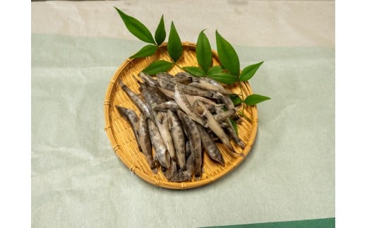 めひかり 1200g 白身 骨 丸ごと 魚 おかず おつまみ カルシウム ミネラル 天然塩 海洋深層水 丸宮 宮本商店 高知県 須崎市 MMY036 【丸宮宮本商店】 1200g