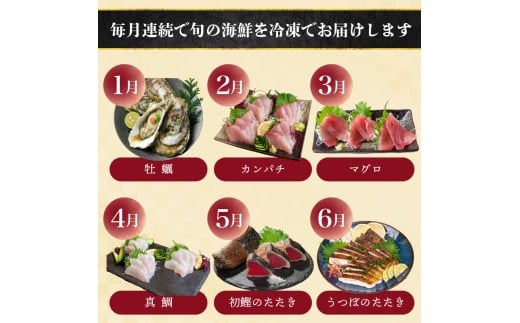 【 高知 の 海鮮 定期便 】 旬 海鮮定期便 6回 お楽しみ 高知 海鮮 かつお タタキ 鯛 タイ 勘八 カンパチ 牡蠣 カキ しらす シラス ウツボ うつぼ 貝 盛合 定期便 6回  半年 高級魚  魚貝 道の駅 高知県 須崎市 NS10000-x 【須崎の鮮魚定期便】6ヶ月コース