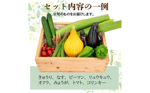 南国高知よりまごころ野菜セット 野菜でお家ごはん 【6～8品目】