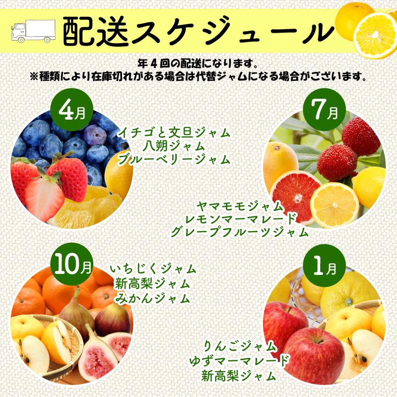 【10月発送】季節の果実ジャム 3種（各100g） パック セット ジャム じゃむ 季節の果実 果物 詰め合わせ フルーツジャム 国産 6000円 6千円 高知県 須崎市 TJ0071 10月