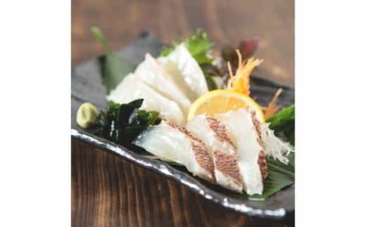 鯛 タイ 刺身 まるごと 1匹分 鮮魚 日本最高峰評価のマダイ ブランド 海援鯛 魚 産地直送 高知県 須崎市