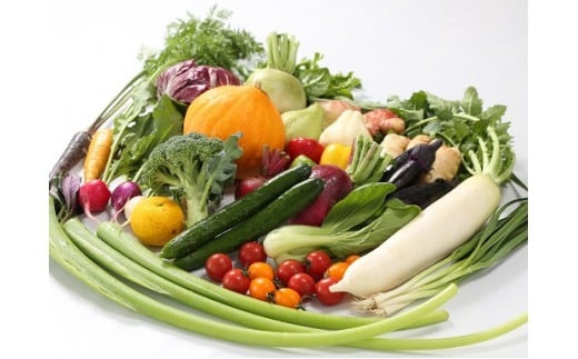 定期便 4回 野菜 おまかせ セット 10 ～ 14種 春夏秋冬 なばな 新玉ねぎ そら豆 スナップえんどう 春キャベツ フルーツトマト じゃが芋 みょうが ズッキーニ オクラ かぼちゃ すじなし豆 トマト 空心菜 花ニラ さつま芋 栗 秋豆 しょうが 金時しょうが キク芋 赤大根 白大根 かぶ カリフラワー 白菜 ブロッコリー 葉ニンニク ゆず 須崎 高知 頒布会 HNT2000