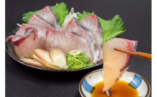 野島水産がお届けする、須崎湾で育てたブランド魚 須崎勘八 250g?450g 【野島水産】 250g～450g (1節分)