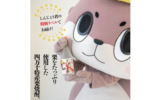 しんじょう君ラベル ダバダ火振 720ml×3本 セット 【地酒】