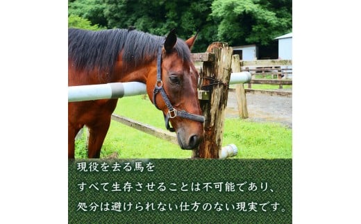 【返礼品なし】 競走馬 引退馬はどこへ？ 黒潮友馬会応援 【9千円コース】 【返礼品なし】9千円コース