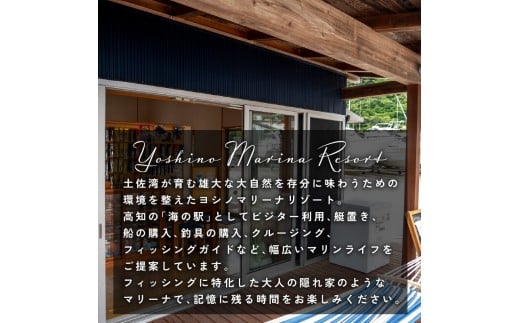 マリーナ施設利用券 30,000円分 ヨシノマリーナリゾート 海の駅 高知県 須崎市 船 メンテナンス ( 定期点検 船底洗浄 船底塗装 など ) 陸地保管 揚降 レンタルボート 釣り船 クルージング ツアー 体験ツアー  YMR004 30,000円