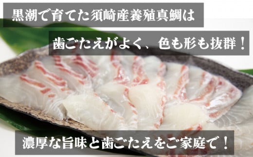 真鯛 しゃぶしゃぶ 用 20切 昆布付き 鍋 たい 魚介類 刺身 包丁いらず 手軽 養殖 高知県 須崎市