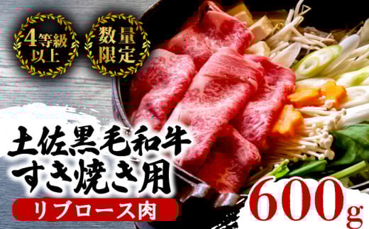【6回定期】土佐黒毛和牛 食べ比べ 3940g 【計3.9kg以上】