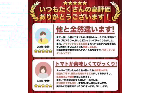 定期便 6回 6か月 半年 野菜 7~8品程度 詰め合わせ セット 毎月お届け 半年間 高知県 須崎市 季節 旬 新鮮 定番 やさい 産地直送（ 小夏 キャベツ ネギ ピーマン オクラ きゅうり かぼちゃ パプリカ ブロッコリー トマト カブ タマネギ じゃがいも びわ ほうれんそう みかん とうもろこし 大根 小松菜 ニンジン 人参 ぽんかん ゆず ）