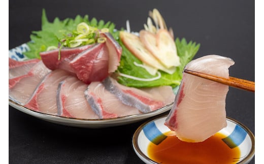 乙女 ブリ 定期便 12回 新鮮 毎月 届く ぶり ブランド 乙女ブリ 鰤【下処理有】 12ヶ月 海鮮 魚介 魚 さかな サカナ 刺身 刺し身 鰤しゃぶ KS18000-2x