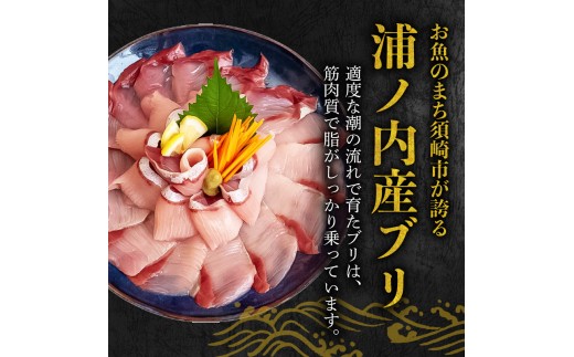 ブリ しゃぶしゃぶ用 ブリしゃぶ 4パック 約840g 15切れ×4