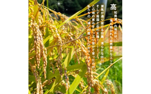 2025年 コシヒカリ 3Kg 産地直送 高知県産 白米 精米 こしひかり 米 常温 配送 ブランド米 国産 米 早場米 人気 天然 恵み 心 高知県 須崎市 SI001 ３kg