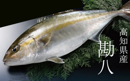 勘八 漬け丼 60g × 4パック | 海鮮 丼 醤油漬け 活き締め カンパチ かんぱち 惣菜 漬丼 お手軽 おかず 魚 刺身 小分け ギフト 人気 加工品 お茶漬け 冷凍 時短 国産 産地直送 みなみ丸 高知県 須崎市