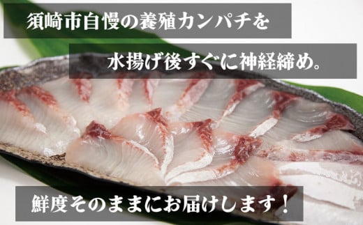 かんぱち しゃぶしゃぶ 用 18切 昆布付き 鍋 魚介類 刺身 包丁いらず 手軽 勘八 高知県 須崎市 