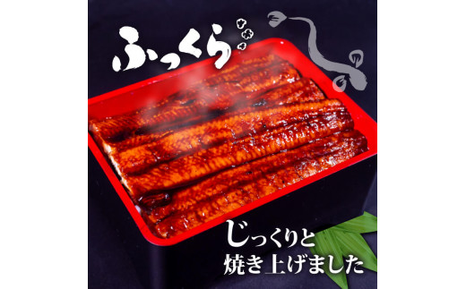 【肉厚】 うなぎ蒲焼き 1.2kg（120～140×10尾）/ 鰻 ウナギ かば焼き 冷凍