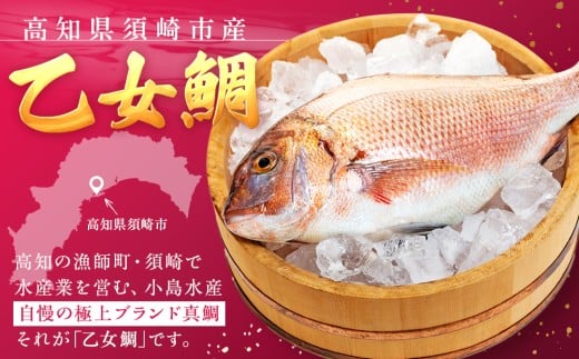 真鯛 刺身 用 柵 アラ付き 1尾 セット 1.3kg～1.5kg 本場須崎のブランド 鯛 乙女鯛 新鮮 冷蔵 刺身 お刺し身 タイ 鯛 高級魚 鮮魚 海鮮 魚介 煮付け 鯛めし 鯛茶漬け 鯛しゃぶ アラ汁 皿 高知県 須崎市 KS004 1尾分(1.3kg〜1.5kg)