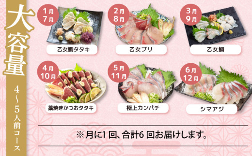 刺身 定期便 6ヶ月 小島水産 がお届けする！ 美味しい お刺身 大容量 コース ( 鮮魚 下処理済 )  産地直送 半年 新鮮 鮮魚 ( 6回 お楽しみ 定期便 お刺身 かつお タタキ カツオ 鰹 鯛 たい 真鯛 タイ 鰤 ぶり ブリ 勘八 カンパチ かんぱち シマアジ 縞鯵 しまあじ 高級魚 魚貝 ) KS28000-5x 大容量