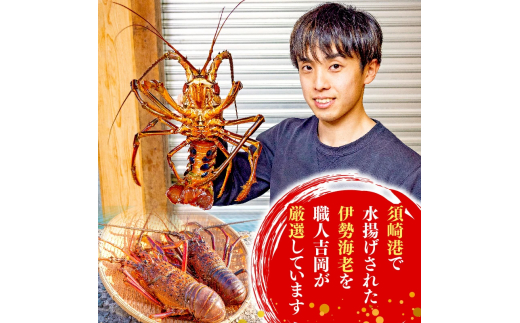 【訳あり】 職人吉岡 の 冷凍 伊勢海老 約 700g 以上 【 サイズ混合 えび エビ いせえび 鮮魚 イセエビ 海鮮 魚介 刺身 焼き物 汁物 ギフト 贈答 贈り物 祝い 歳暮 中元 天然 海の幸 高知県 須崎市 】 IKY054 【高知県】 約700g